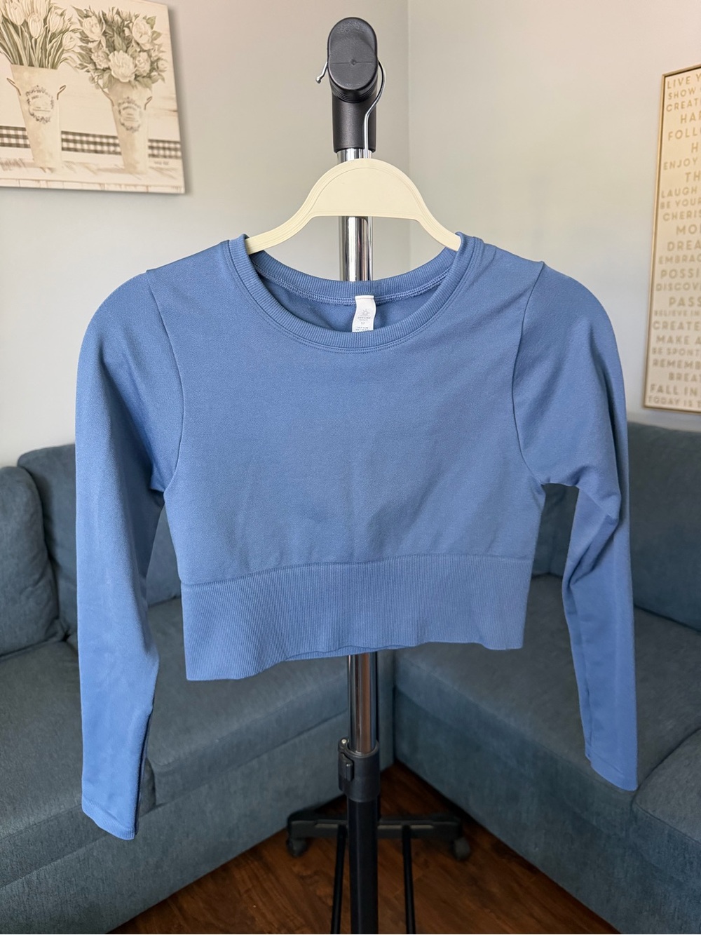 Cropped Long-Sleeve Crewneck Top in Cornflower Blue